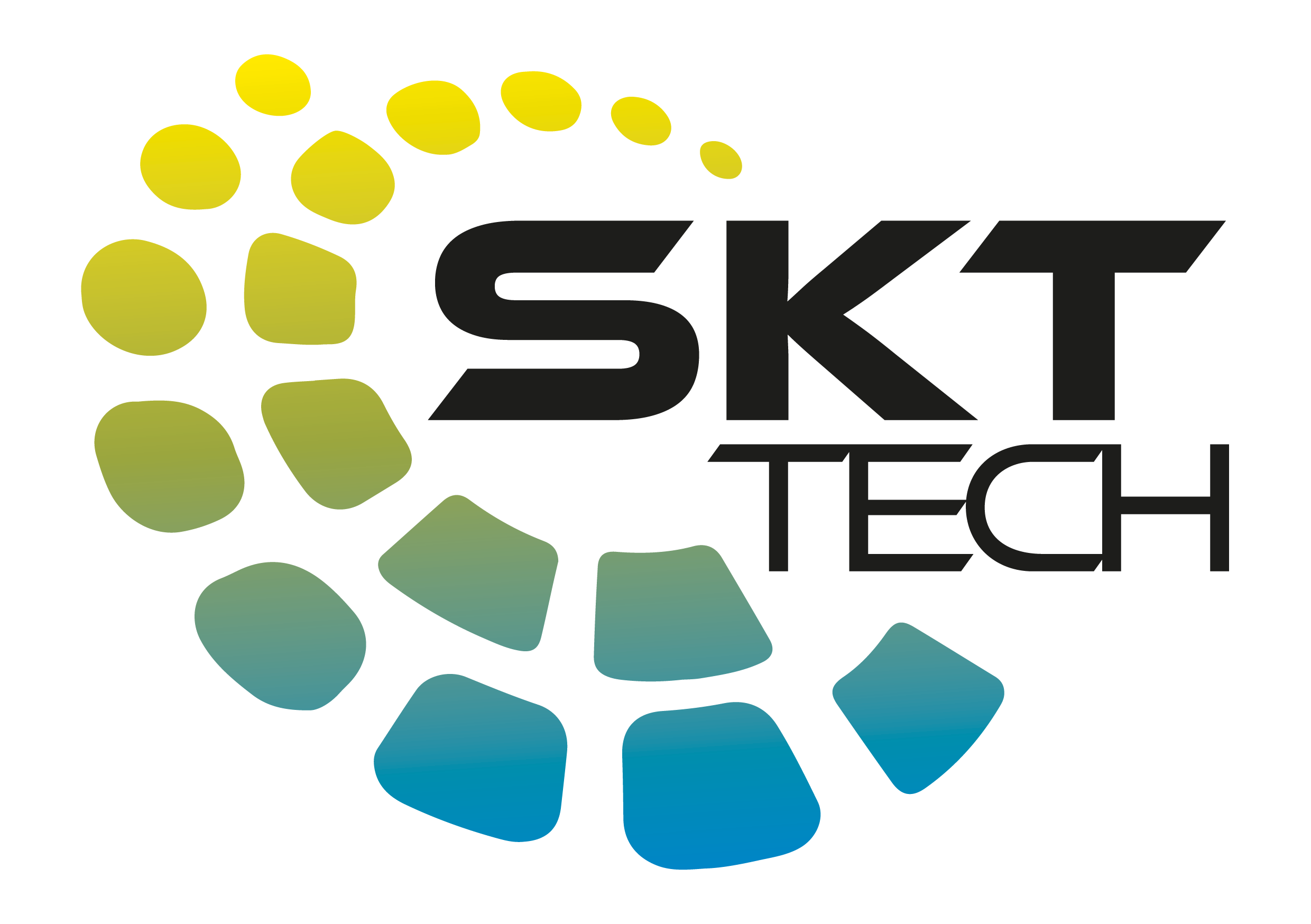 SKTlab DIVISIONI2