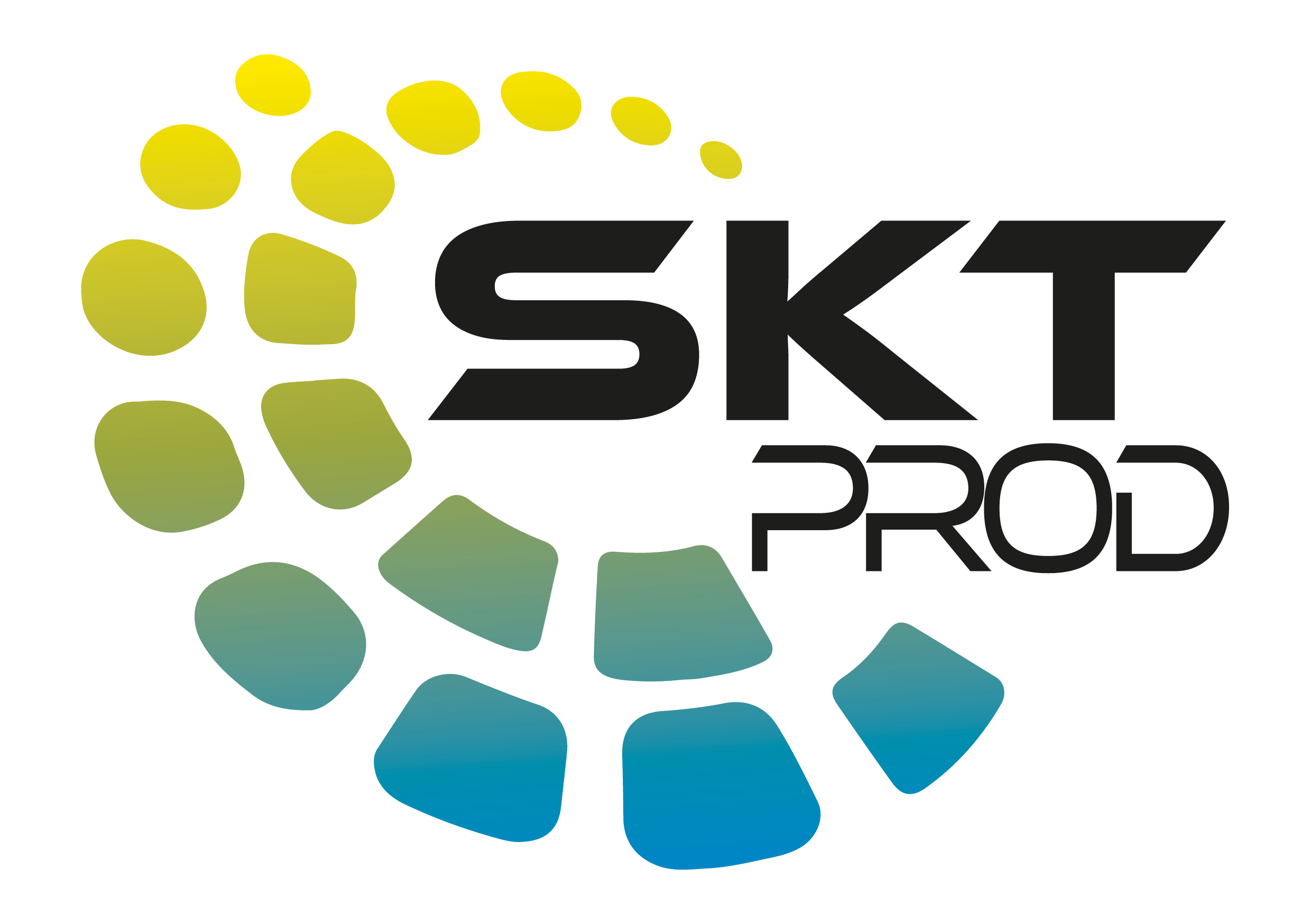 SKTlab DIVISIONI3
