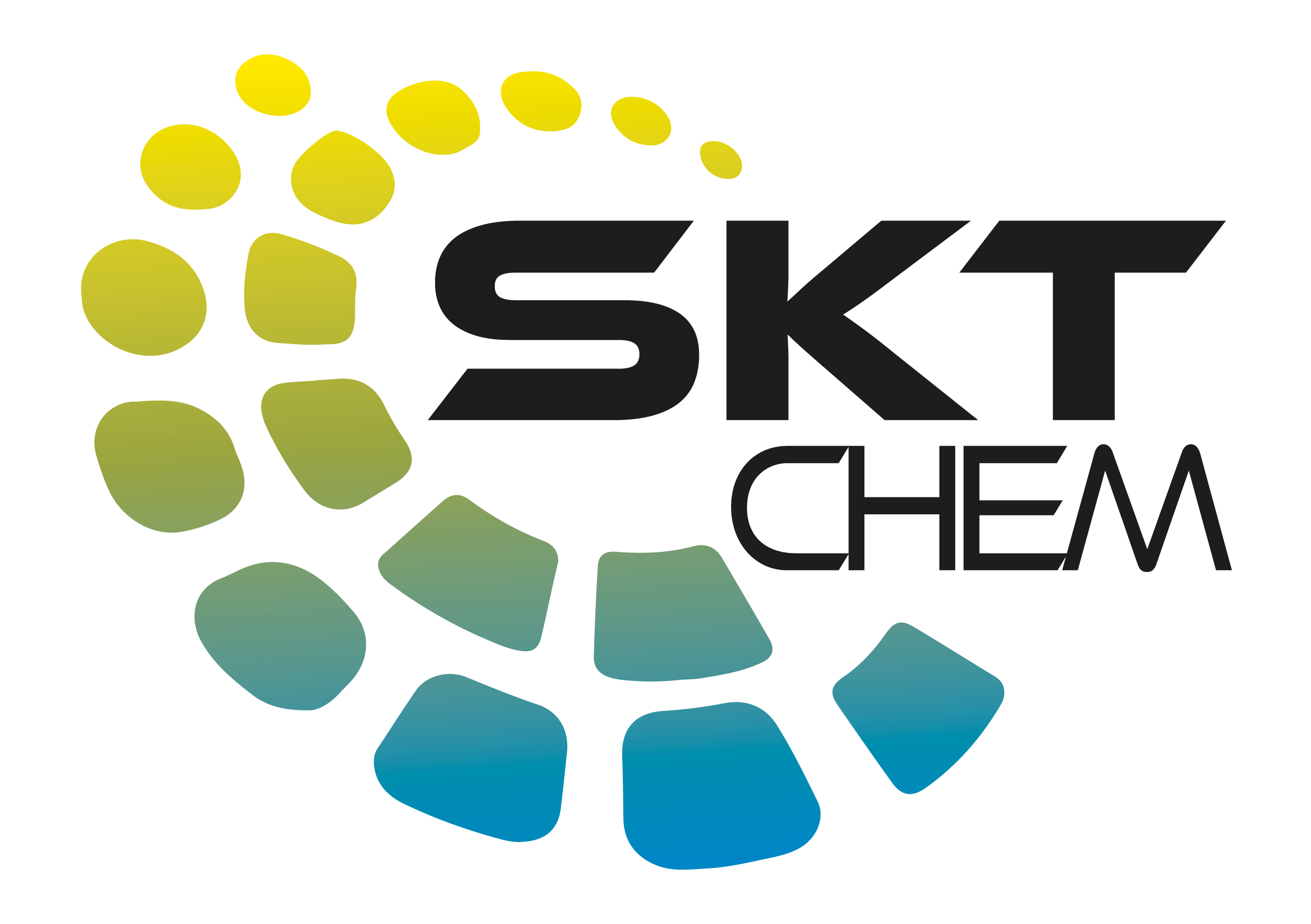SKTlab DIVISIONI4