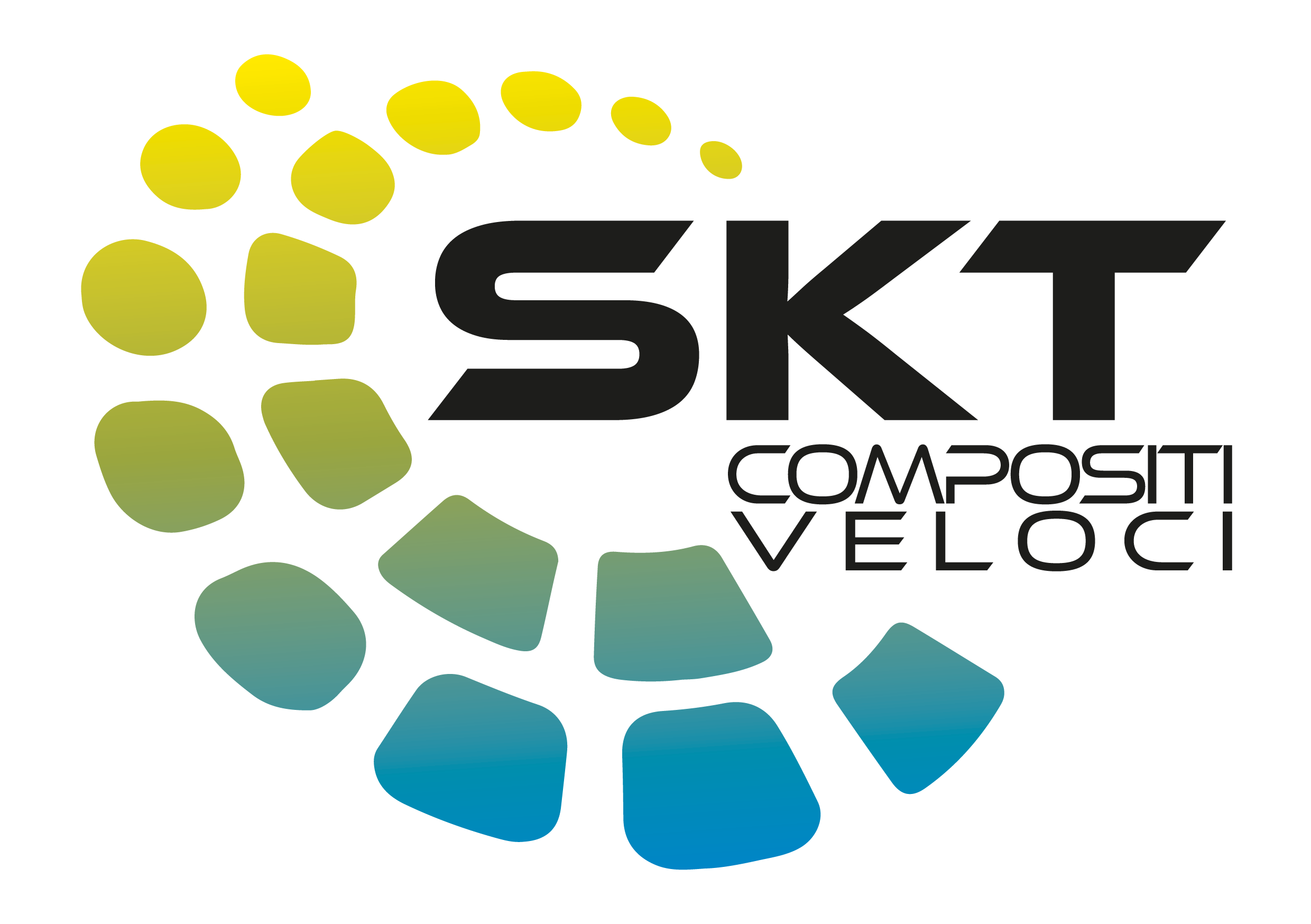 SKTlab DIVISIONI5